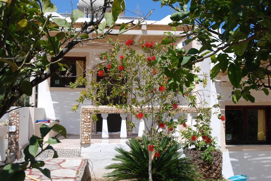 Italiana Appart hôtel Amoudara (Lasithi)