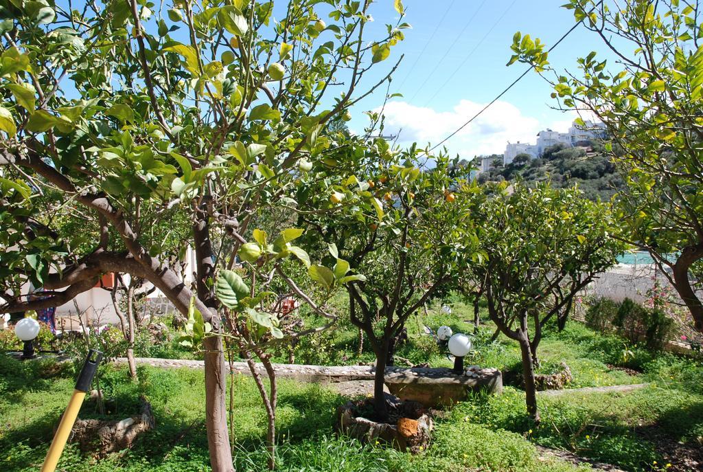 Italiana Appart hôtel Amoudara (Lasithi)